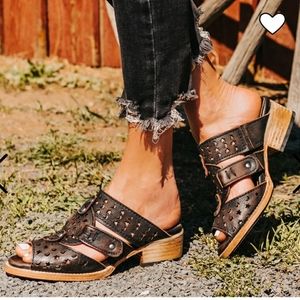 Freebird by Steven Moonstar